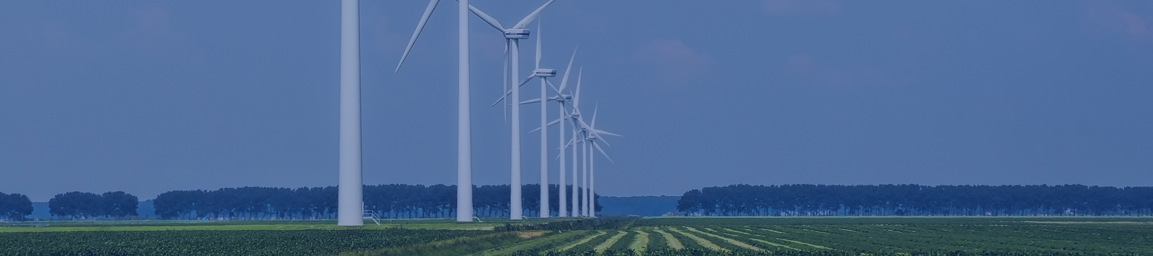 乐宝体育·(中国)官方网站