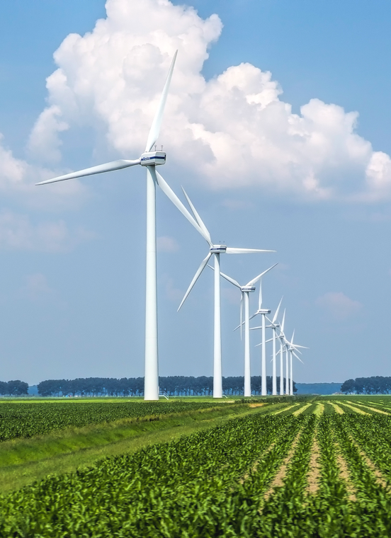 乐宝体育·(中国)官方网站